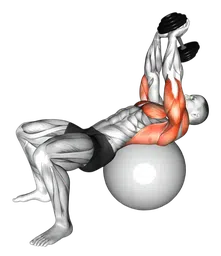 Pullover su fitball con manubri (Manubri)