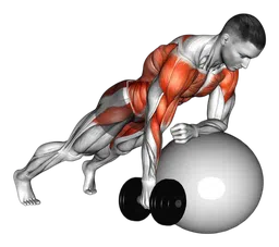 Rematore renegade su stability ball con manubri