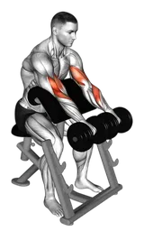 Reverse preacher curl con manubri
