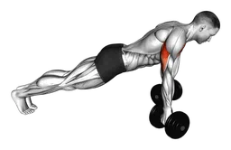 Reverse push-up con manubri