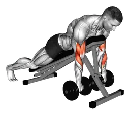 Reverse spider curl con manubri
