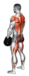 Stacco rumeno con manubri e bent over row