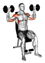 Shoulder press alternato da seduto con manubri