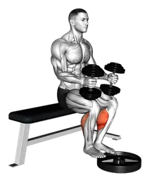 Calf raise da seduto con manubri