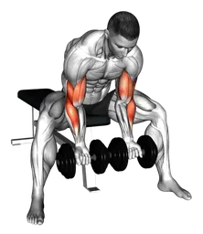 Double concentration curl da seduto con manubri