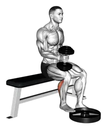 Calf raise a una gamba da seduto presa a martello con manubri