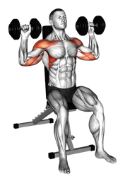 Shoulder press da seduto con manubri
