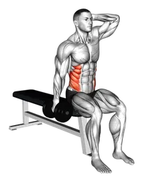Side bend da seduto con manubri