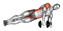 Side plank raise con manubrio