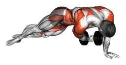Side plank con croci inverse con manubri