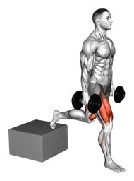Split squat a una gamba con manubri e box basso