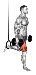 Split squat a una gamba con manubri e anello