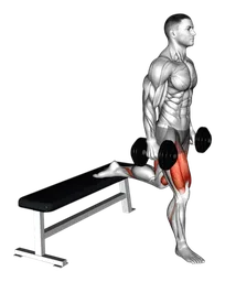 Split squat a una gamba con manubri