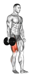 Squat a una gamba con manubri