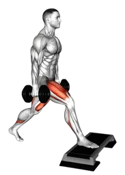 Split squat con manubri e piede anteriore elevato