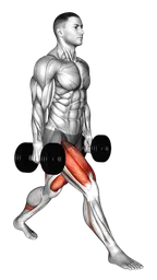 Split squat con manubri