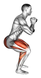 Calf raise in mantenimento squat con manubri