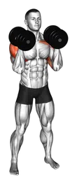 Overhead press alternato con manubri in piedi