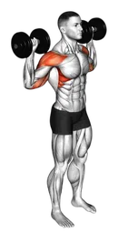 Shoulder press dietro la schiena con manubri in piedi