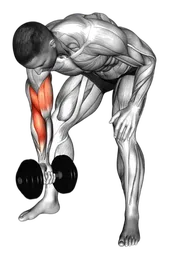 Concentration curl con manubri in piedi