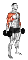 Hammer curl to press con manubri in piedi