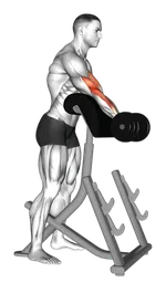 Preacher curl con manubri in piedi