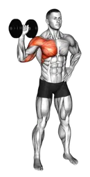 Shoulder press in piedi con manubri e pec dec