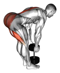 Stacco a gambe tese con manubri