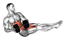 Russian twist a gambe tese con manubri