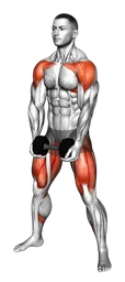 Sumo squat front raise con manubri