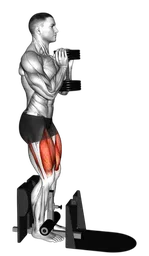 Squat assistito con manubri