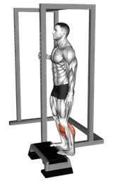 Calf raise in piedi con rialzo