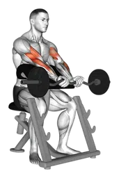 Preacher curl presa stretta con bilanciere EZ