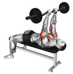 JM bench press con bilanciere EZ