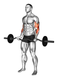 Strict curl con bilanciere EZ