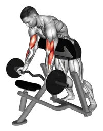 Preacher curl in piedi con bilanciere EZ