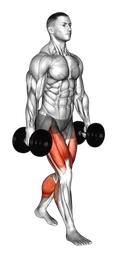Farmers walk
