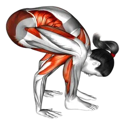 Posizione yoga della lucciola