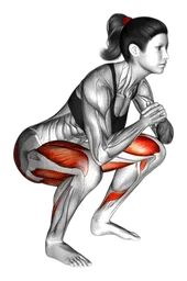 Squat a rana