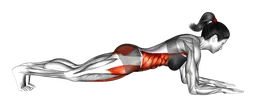Plank frontale sui gomiti