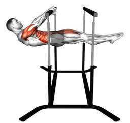 Front lever