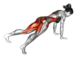 Plank frontale apri e chiudi