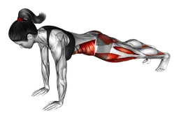 Plank frontale con tocco della punta del piede