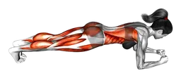 Plank frontale con sollevamento di braccia e gambe