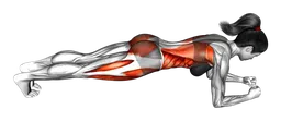 Plank frontale con sollevamento braccia