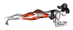 Plank frontale con sollevamento gambe