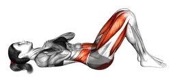 Rollio glute bridge