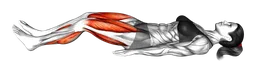 Camminata glute bridge