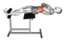 Crunch al glute-ham developer