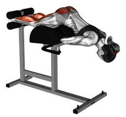 Glute ham raise (variante 2)
